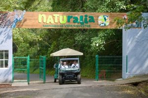 FB_IMG_1732203663122