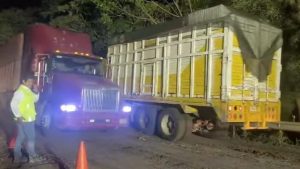 Screenshot_20241115_095948_Facebook