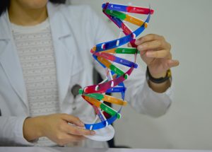 WhatsApp Image 2025-02-28 at 10.10.13 AM