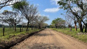 485140909_675859274975588_6398385054811197718_n