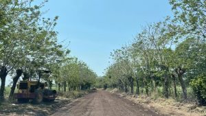 486081492_678443054717210_4206381915880353405_n