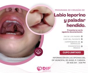 501049281_719018790816025_4986407905164219644_n