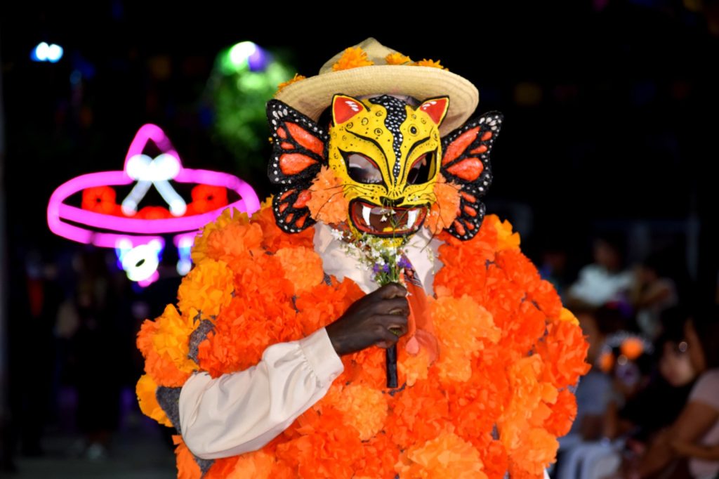 WhatsApp Image 2025-11-03 at 3.44.44 PM