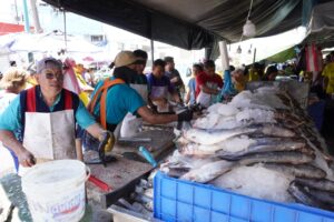 MARISCOS 3