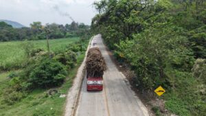 c5e95ccd-bc02-40cd-b0d4-d87898d80f32