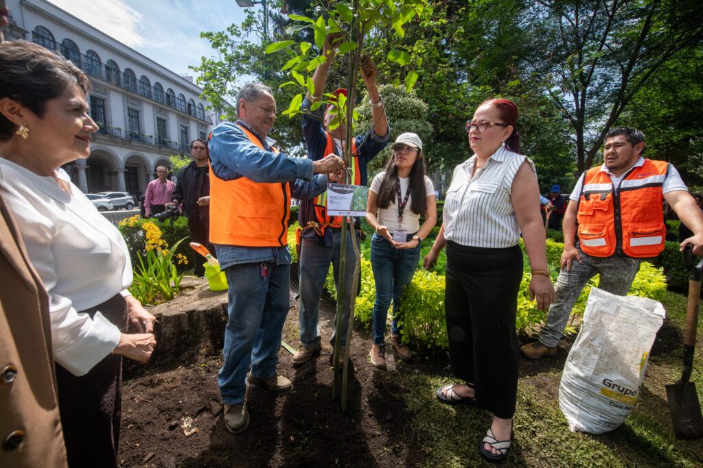 IMG-20260605-WA0106